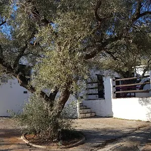  Guest house Gateway To The Alpujarras, 'cortijo Derry' Spain